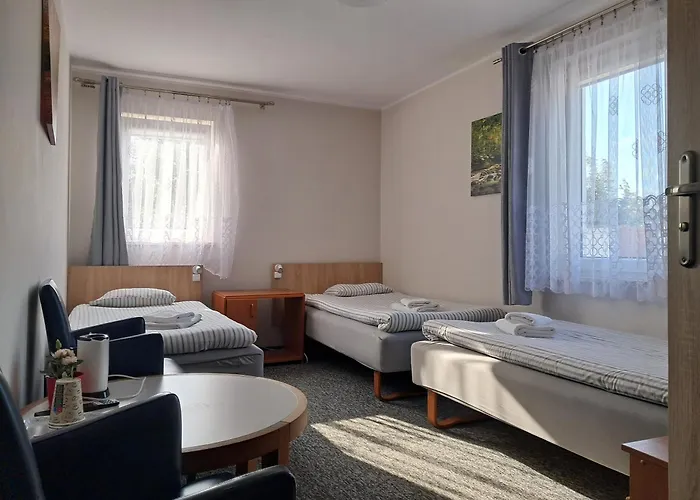 Проживание в семье Goscinne